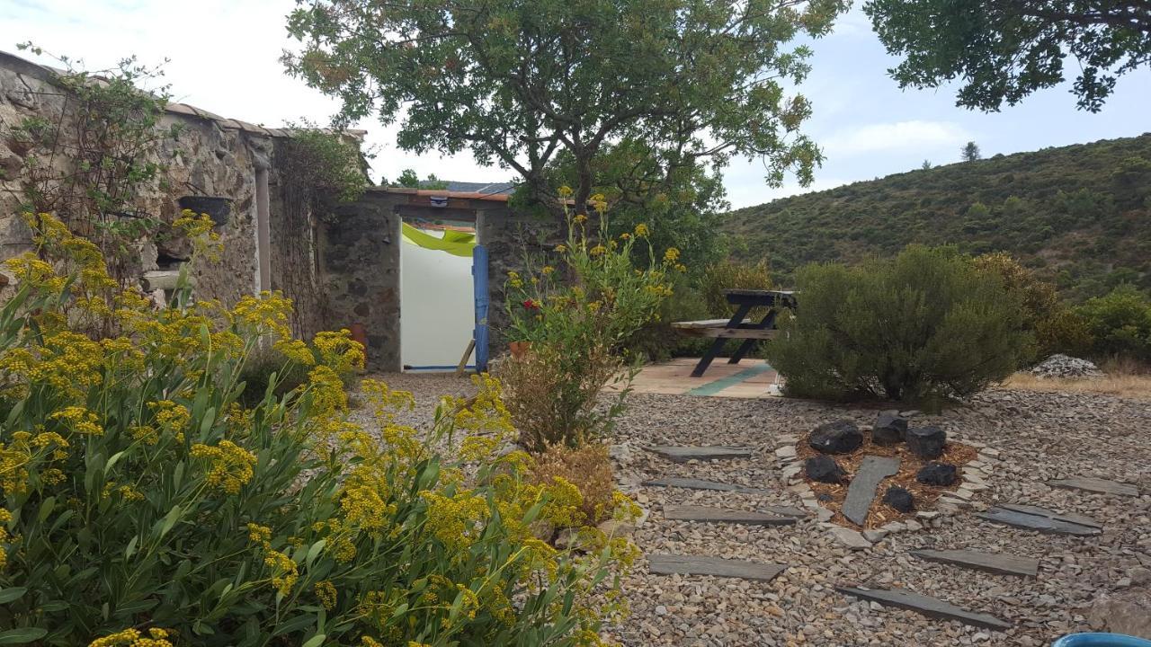 Gite Dans Ancienne Bergerie En Pleine Garrigue Fraissé-des-Corbières Eksteriør billede
