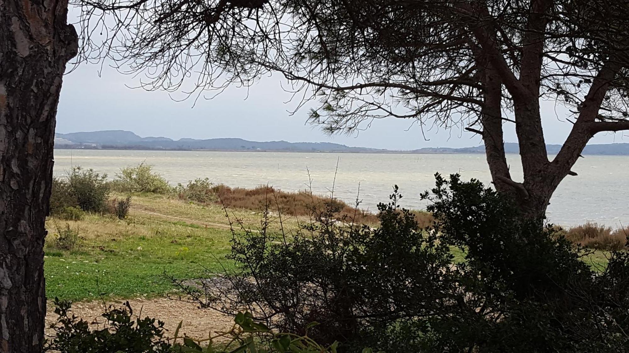 Gite Dans Ancienne Bergerie En Pleine Garrigue Fraissé-des-Corbières Eksteriør billede